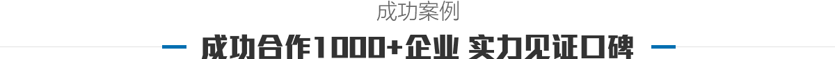 成功案例 成功合作1000+企业 实力见证口碑